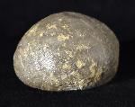 Micraster brevis DESOR in AGASSIZ & DESOR 1847 - Bild © FossNet FossilienStore